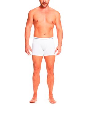 Cueca Boxer Plié 020004 Masculina Energy sem Costura Microfibra T. P/GG