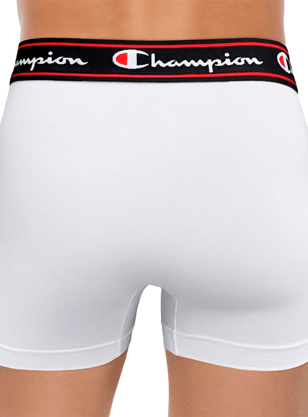 CHAM2837_24260003-2
