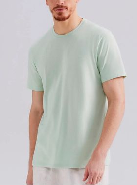 Camiseta Manga Curta Hering 0201 Word Básica Algodão T. P/EXG