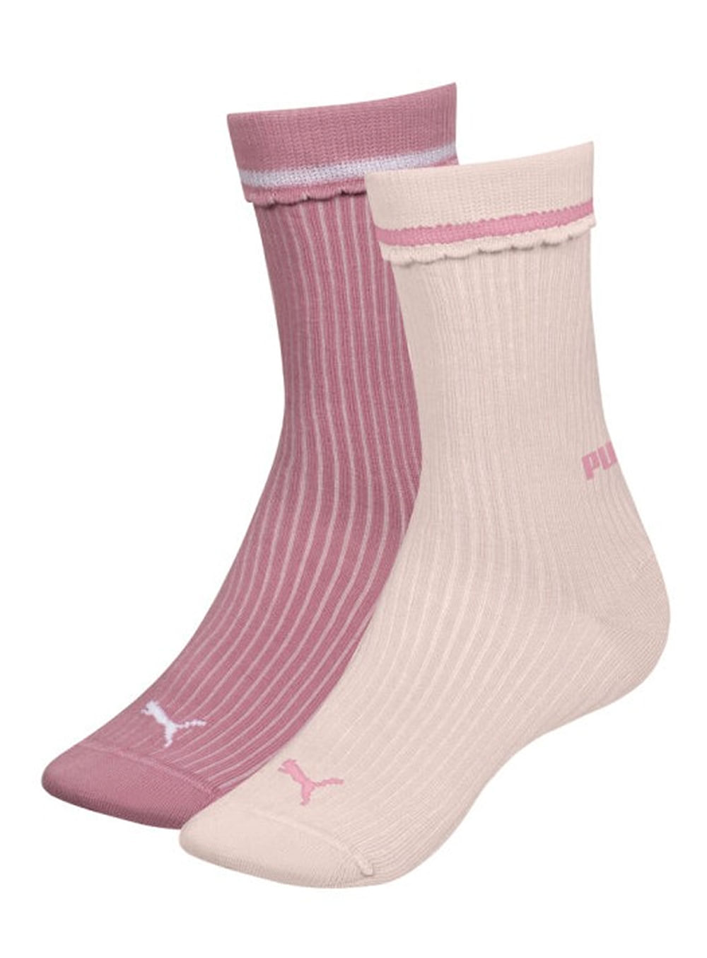 WhatsApp-Image-2026-01-22-at-14.42.09