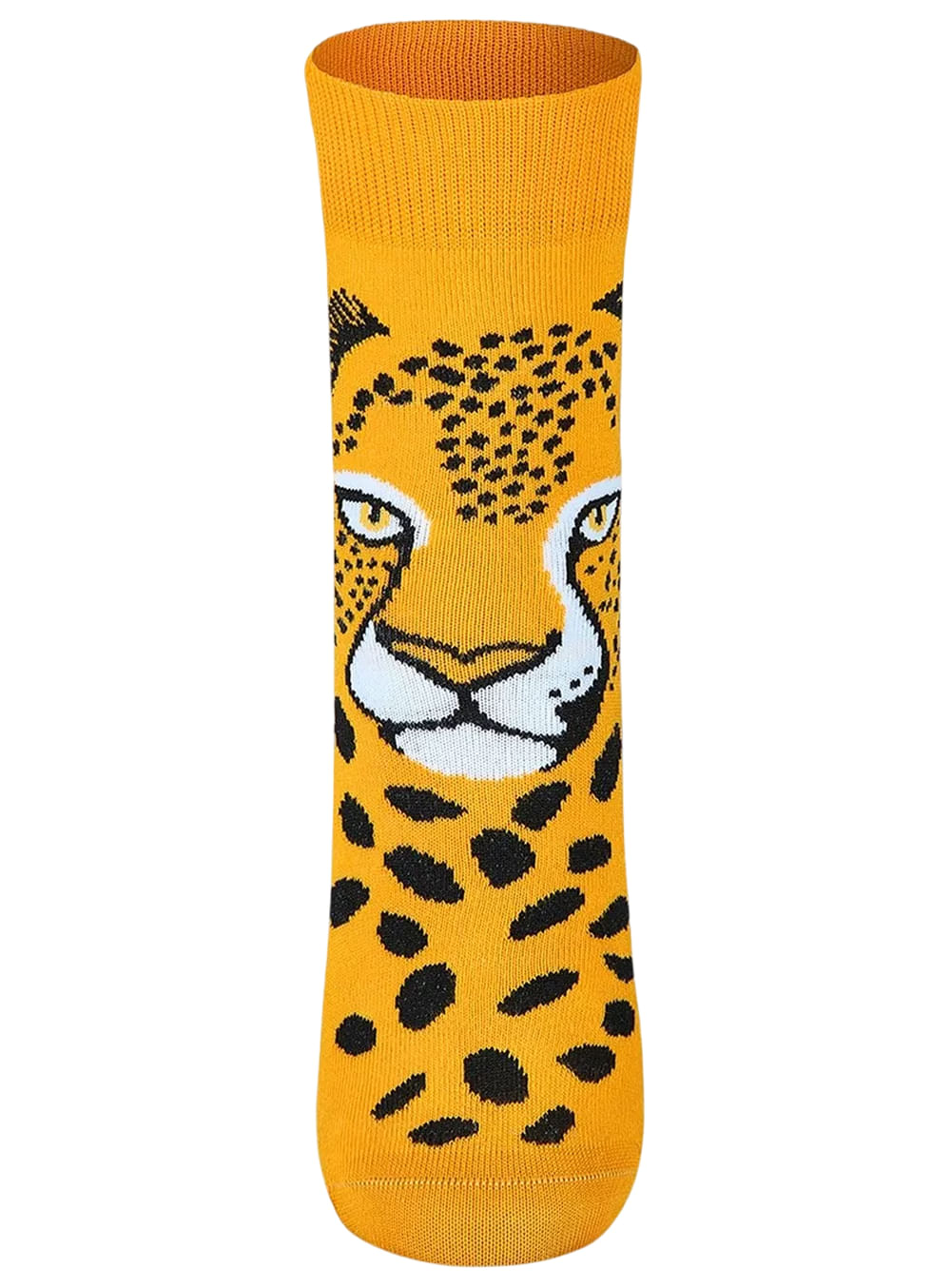 WhatsApp-Image-2026-02-11-at-08.59.03